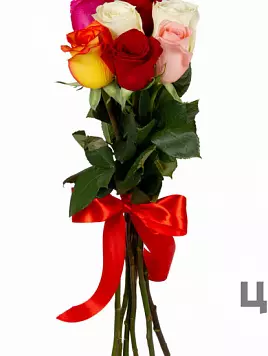 7 эквадорских роз