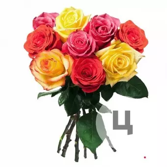 9 эквадорских роз